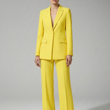 Women's V-Neck Longline Suit Set | Professional Power Dressing
